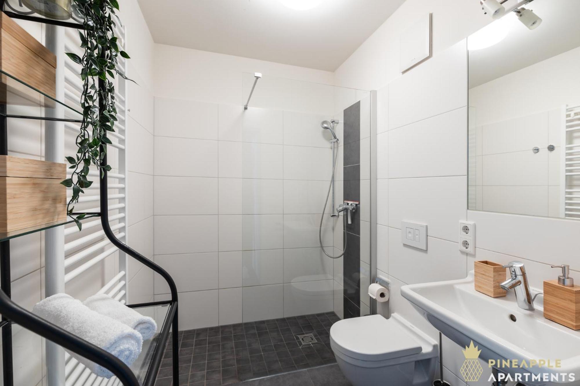 Pineapple Apartments Studio-Apartment Am Zwinger Dresde Extérieur photo